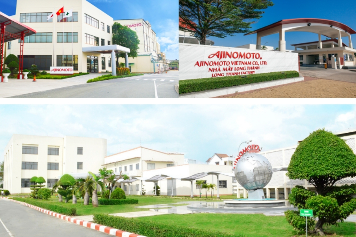 Chiến lược Marketing của Ajinomoto - Root Agency™