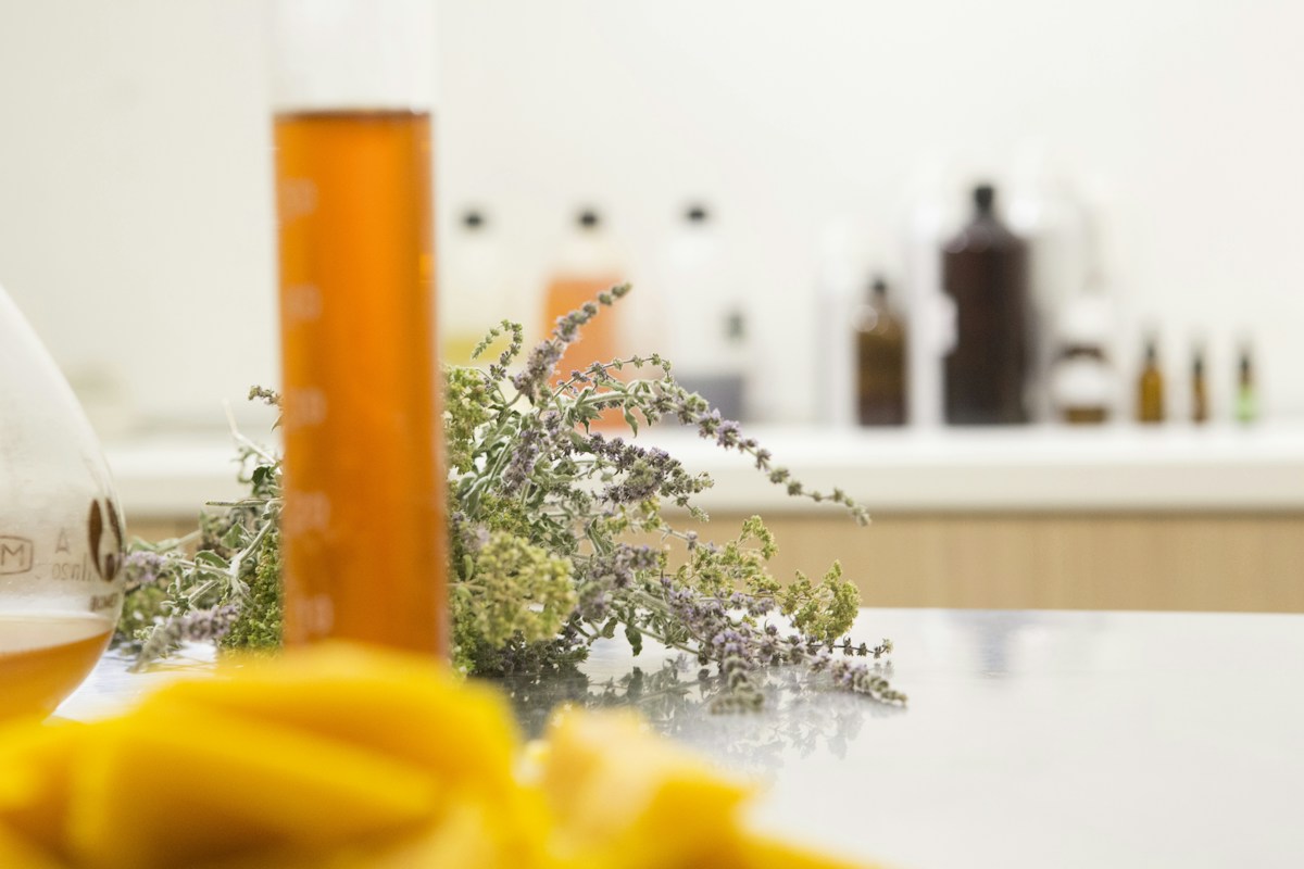 Thực vật và nghiên cứu trong định vị Yves Rocher